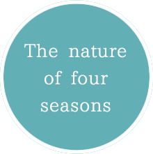 The nature of four seasons